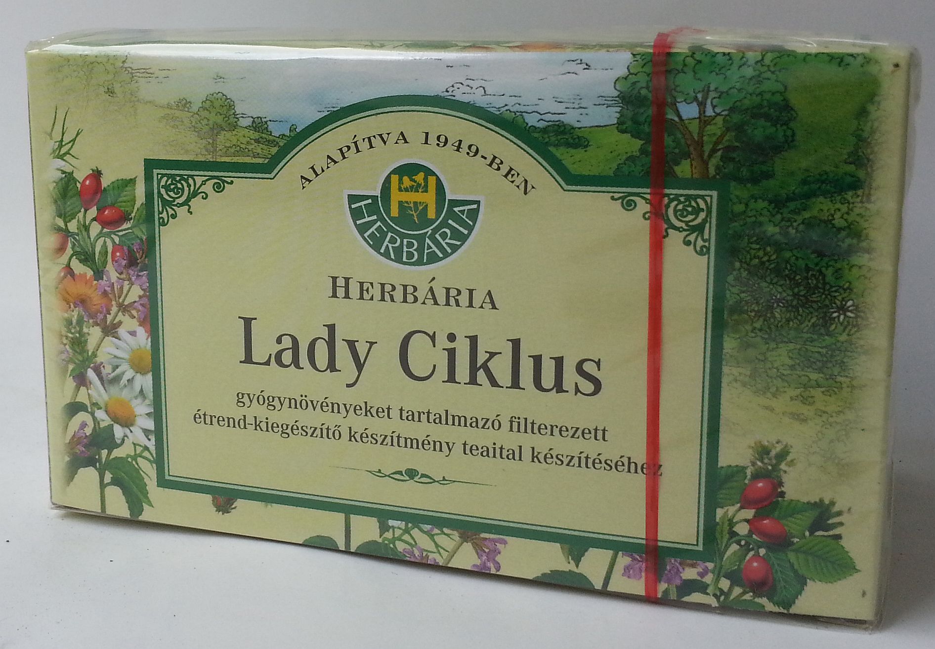 lady ciklus tea.jpg